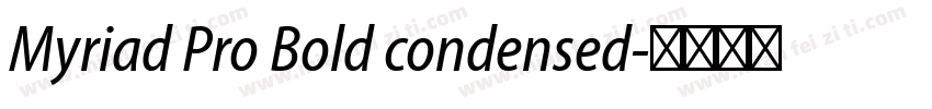 Myriad Pro Bold condensed字体转换